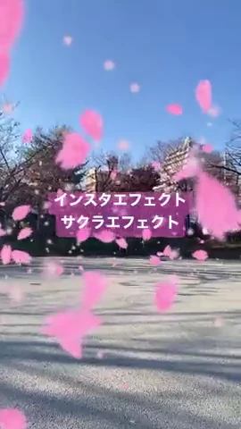 冬の木々を背景にピンクの桜が舞う健軍桜祭りの実際のAR画面