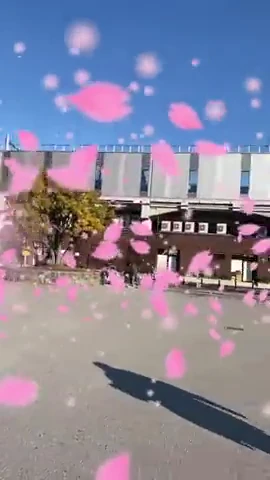 健軍の広場全体にピンクの桜が舞う実際のAR画面